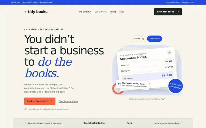Tidy Books website on desktop