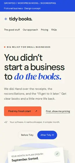 Tidy Books website on mobile